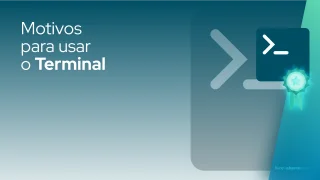 Motivos para usar o Terminal