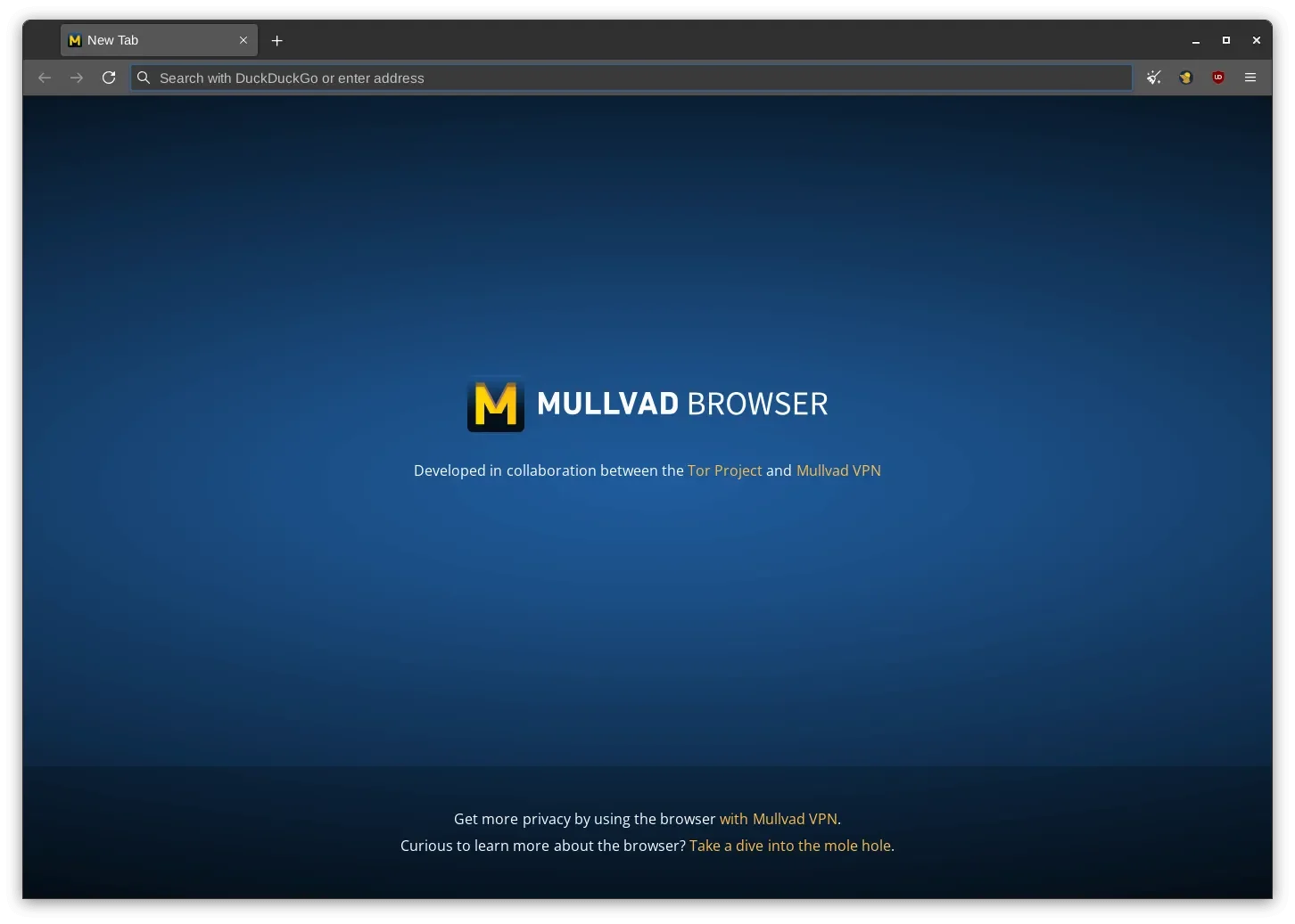 Uma captura de tela do Mullvad Browser