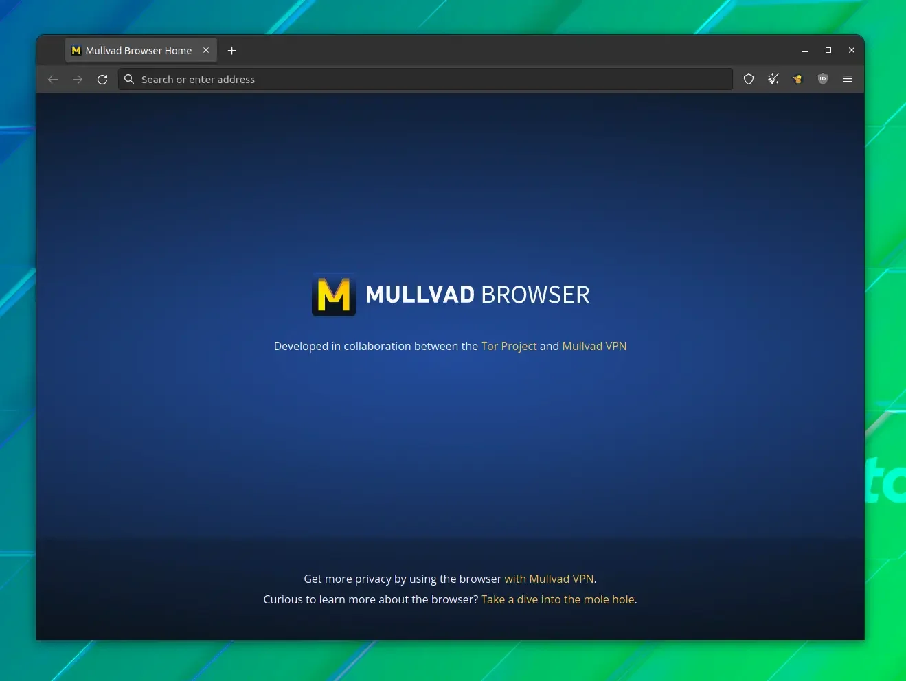 mullvad_navegador mullvad_navegador