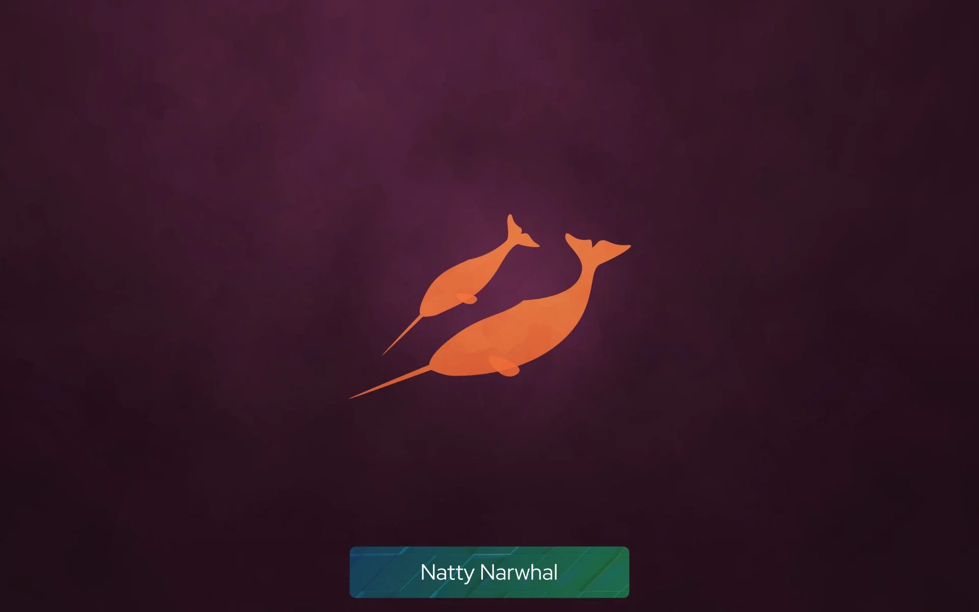 natty_narwhal natty_narwhal