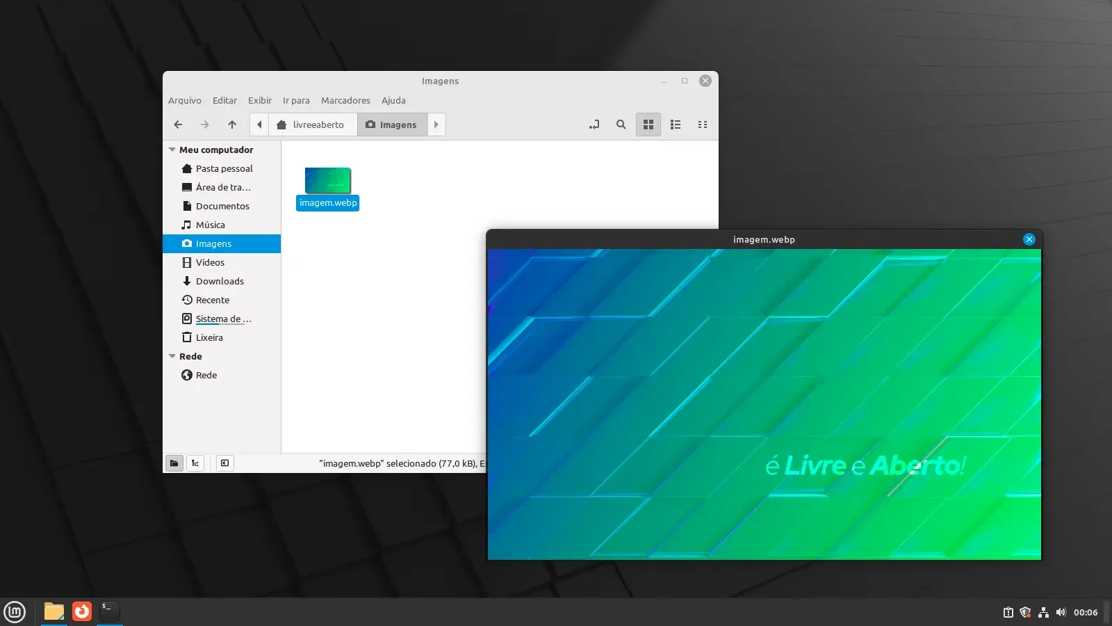 Visualização de arquivos no Nemo File Manager com Nemo Preview