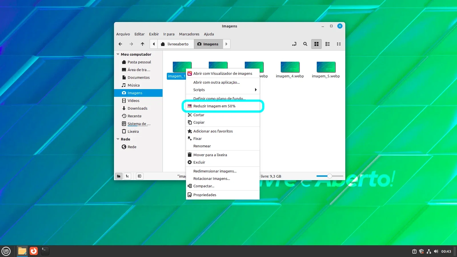Reduza a imagem em 50% na entrada do menu de contexto