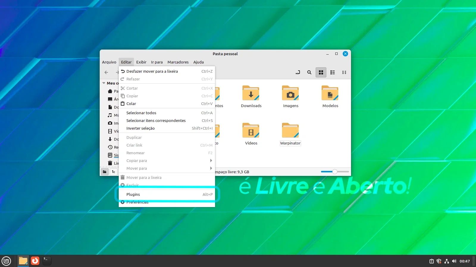 Acesse Plugins no Menu