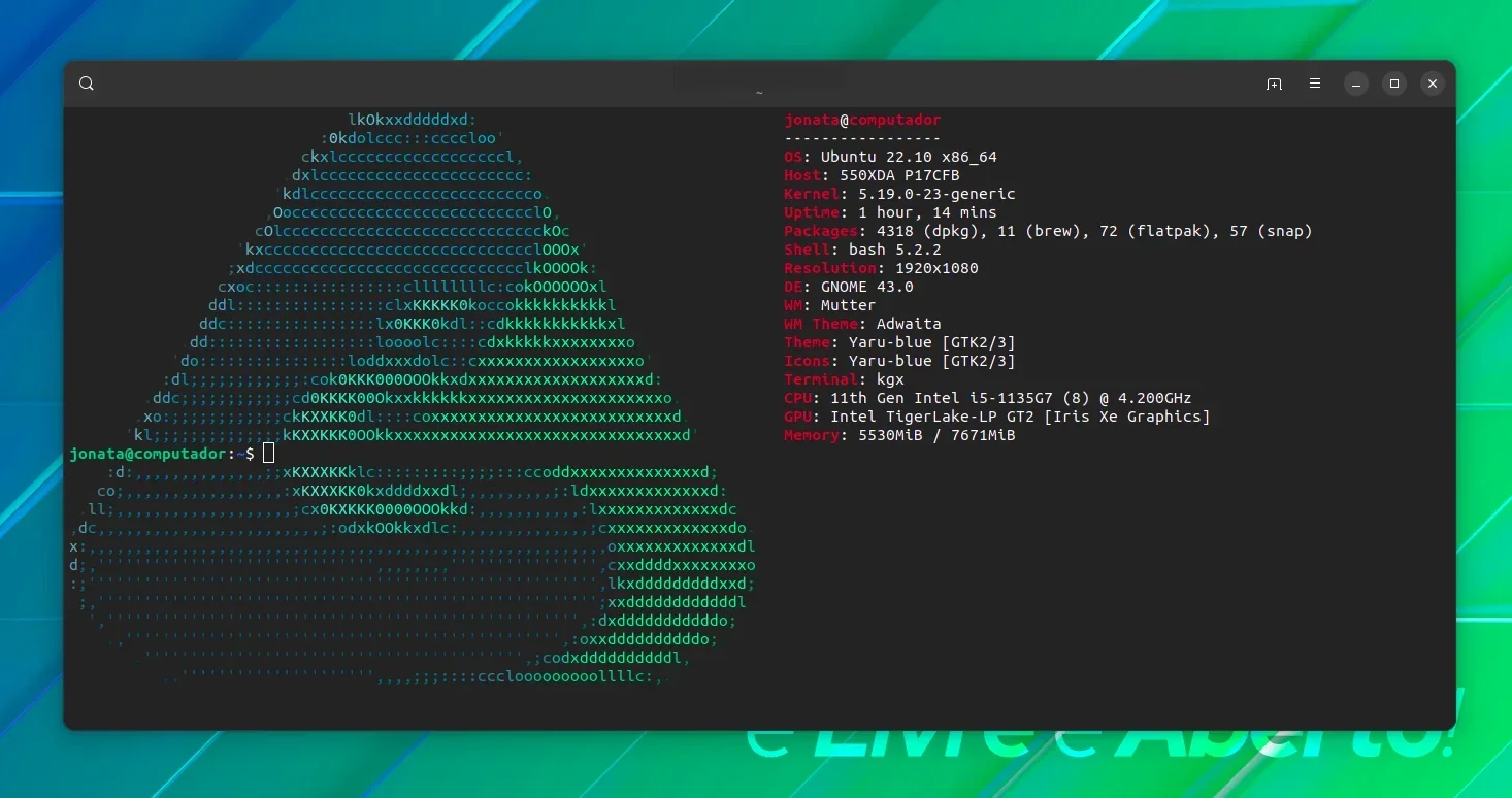 Logo ASCII personalizado no Neofetch com backend jp2a Logo ASCII personalizado no Neofetch com backend jp2a
