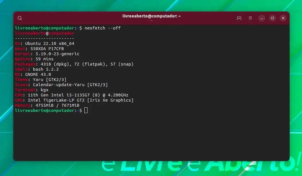 Neofetch sem logotipo ASCII Neofetch sem logotipo ASCII