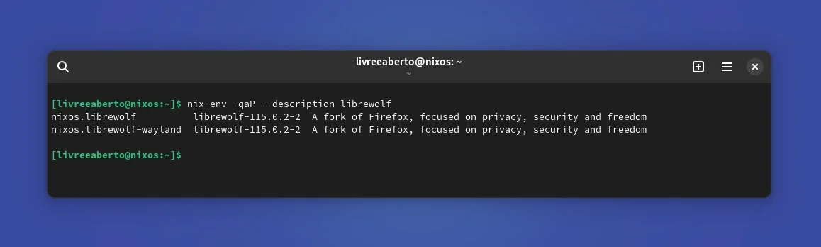 nixos_1 nixos_1