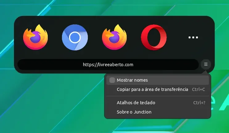 Opções ao abrir uma URL no Junction Opções ao abrir uma URL no Junction