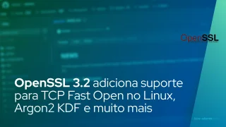 OpenSSL 3.2 adiciona suporte para TCP Fast Open no Linux, Argon2 KDF e muito mais