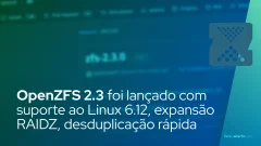 OpenZFS 2.3 foi lançado com suporte ao Linux 6.12, expansão RAIDZ, desduplicação rápida e muito mais