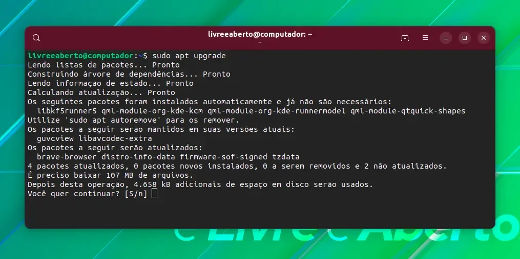 Atualizando todos os pacotes Atualizando todos os pacotes