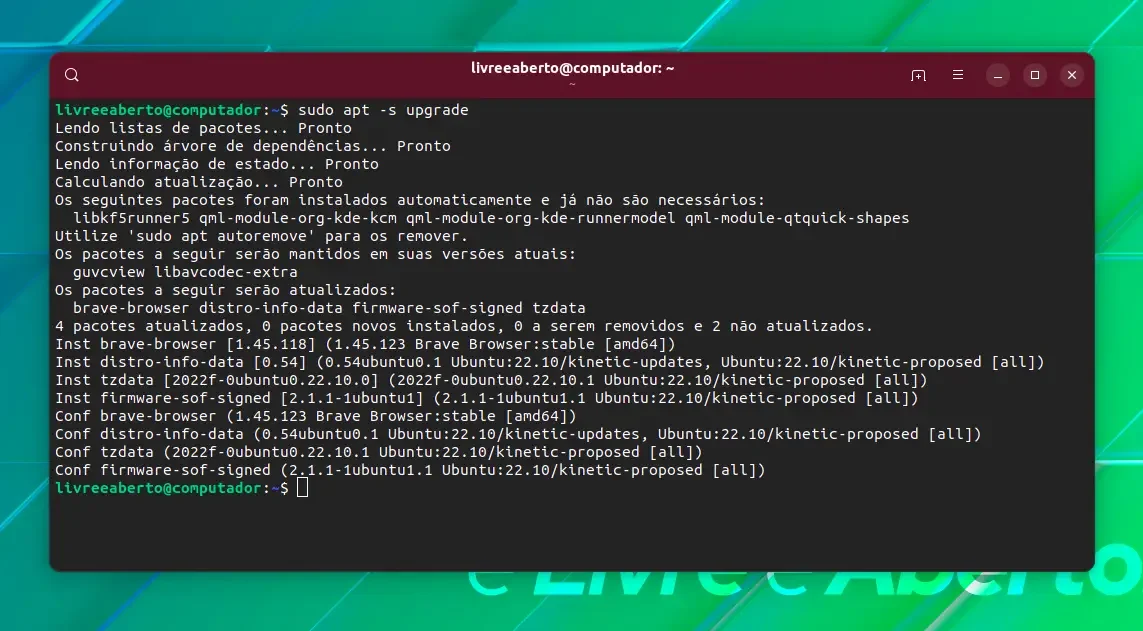 Executando uma simulação de atualização com comando apt Executando uma simulação de atualização com comando apt