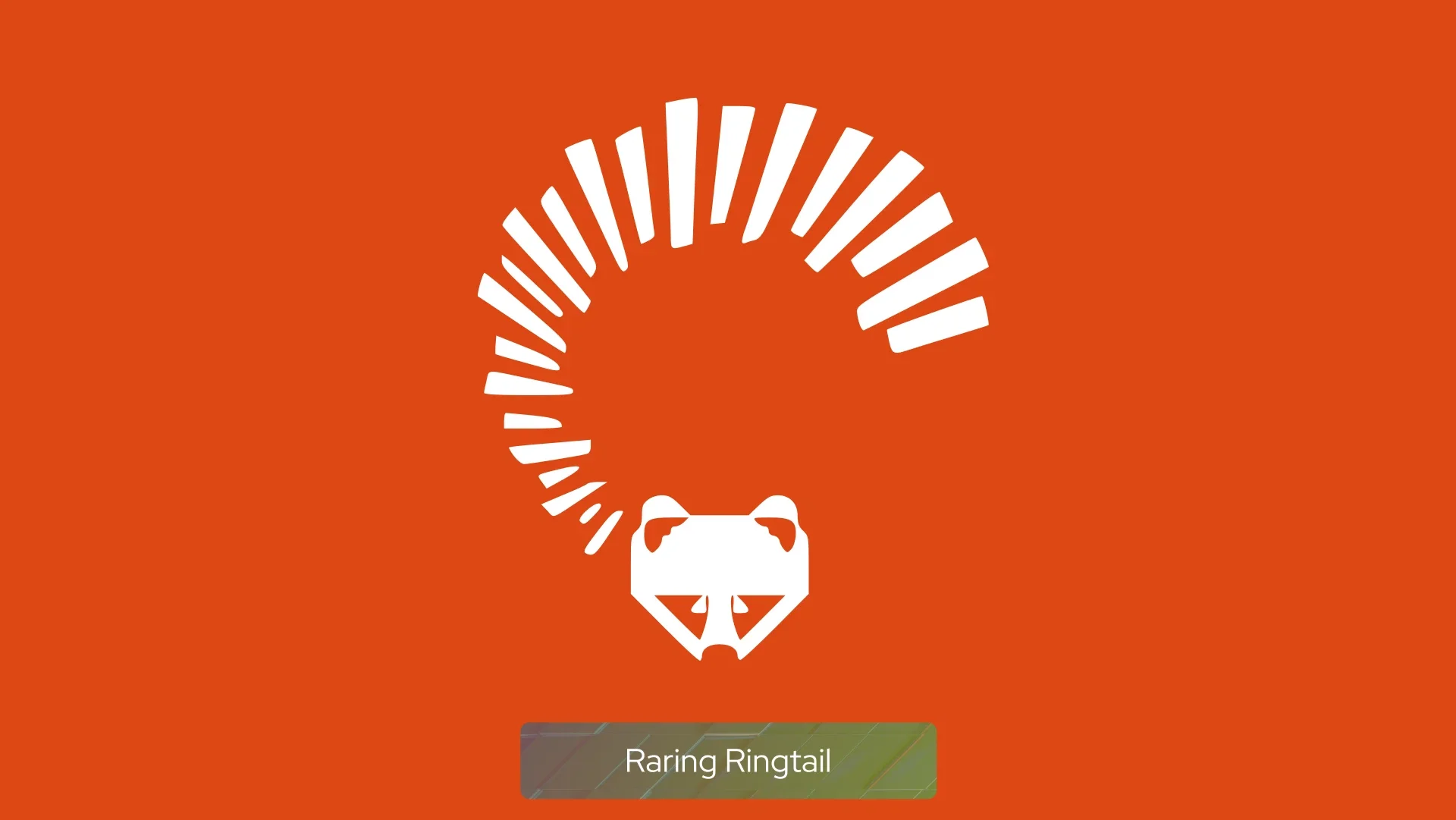raring_ringtail raring_ringtail