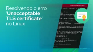 Resolvendo o erro 'Unacceptable TLS certificate' no Linux
