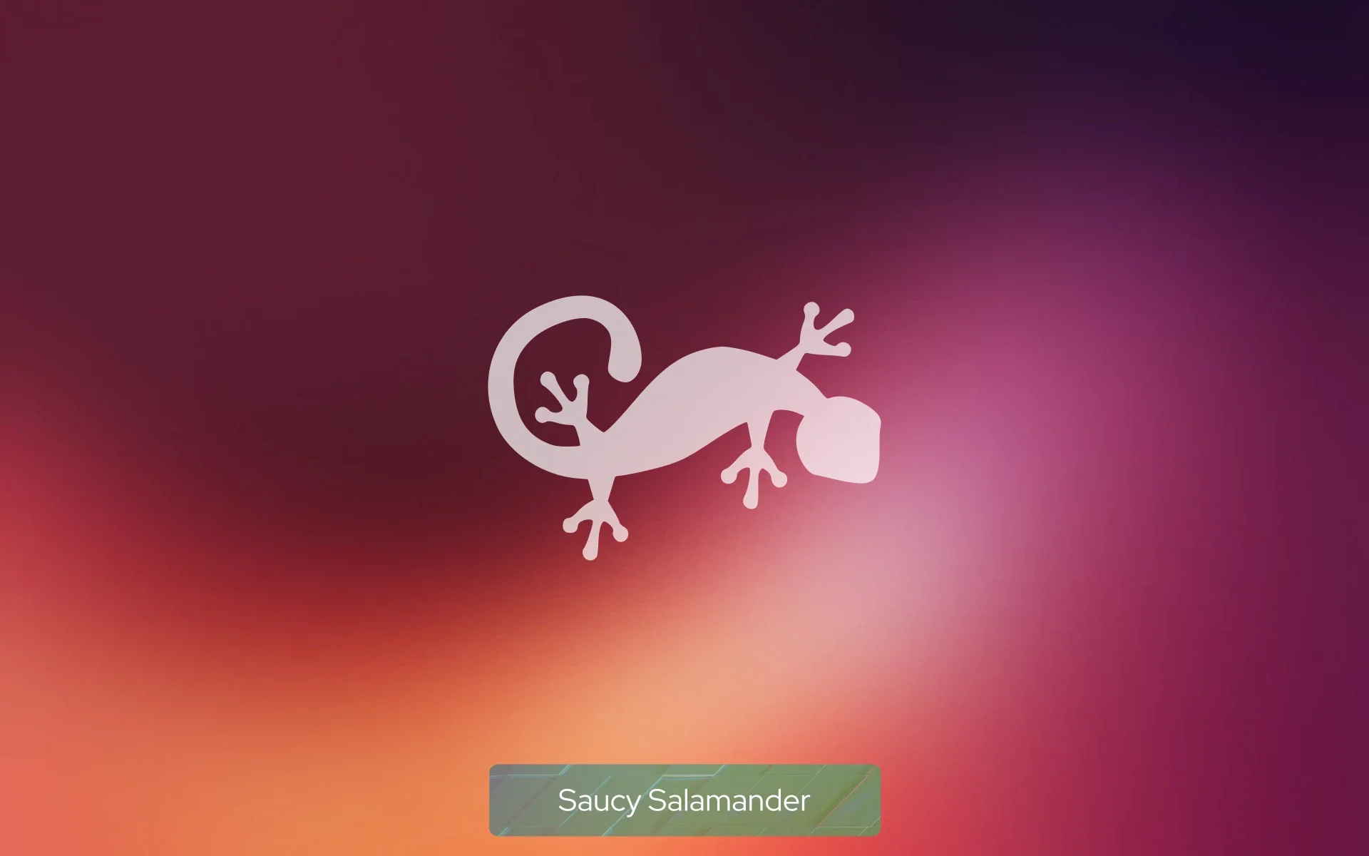 saucy_salamander saucy_salamander