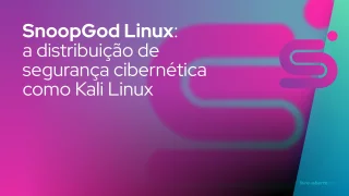 SnoopGod Linux: a distribuição de segurança cibernética como Kali Linux