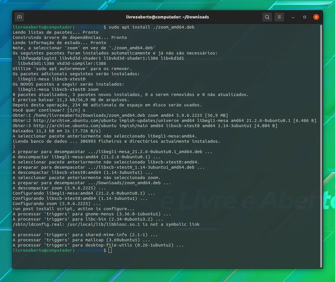 Terminal mostrando informações da instalação de um arquivo DEB usando o comando apt