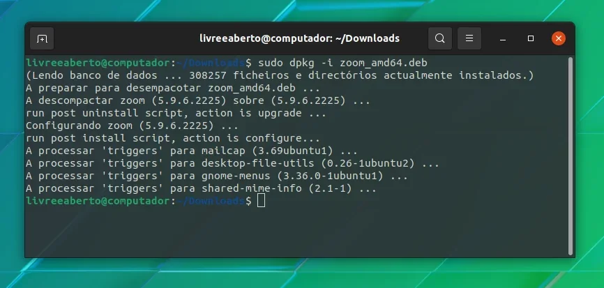 Terminal mostrando informações da instalação de um arquivo DEB usando o comando dpkg