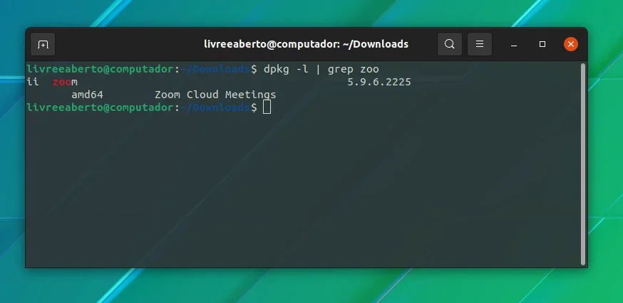 Terminal mostrando pacotes instalados com dpkg e com filtro grep