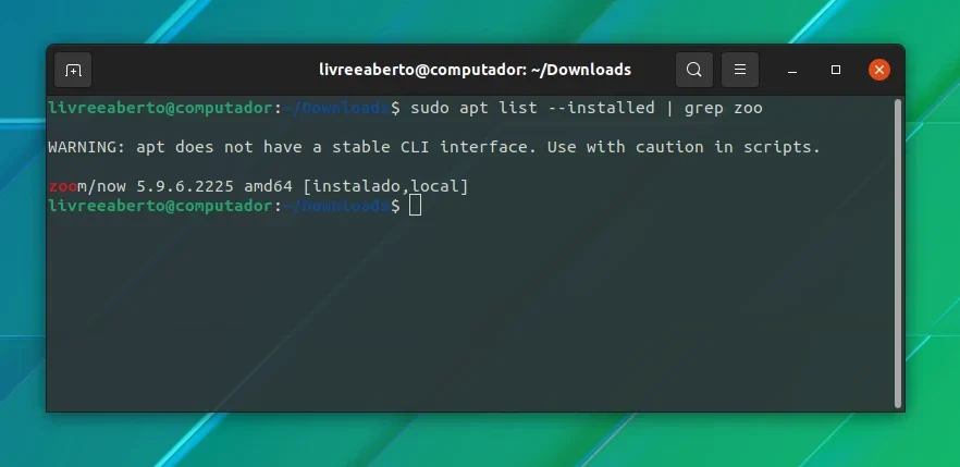 Terminal mostrando pacotes instalados com filtro grep