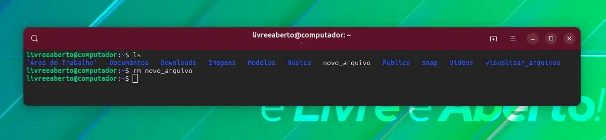 Removendo arquivos no terminal Linux