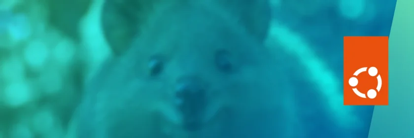Ubuntu 25.10 é oficialmente chamado de 'Questing Quokka'