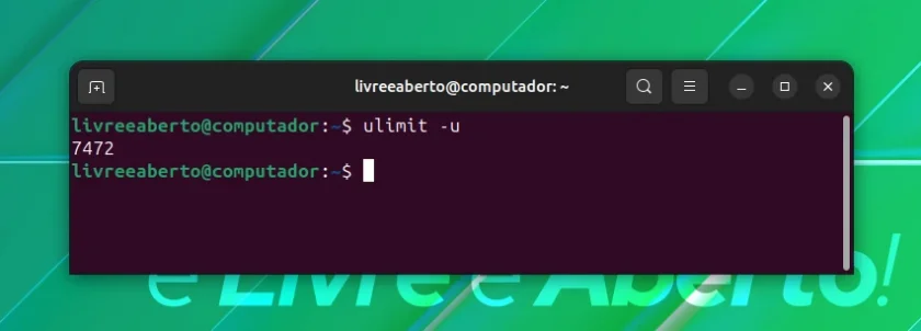 ulimit_1 ulimit_1
