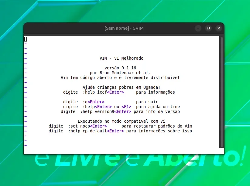 vim_9_1