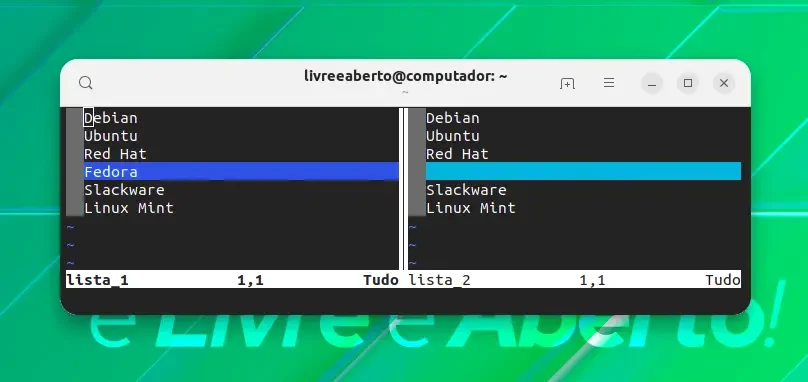vimdiff