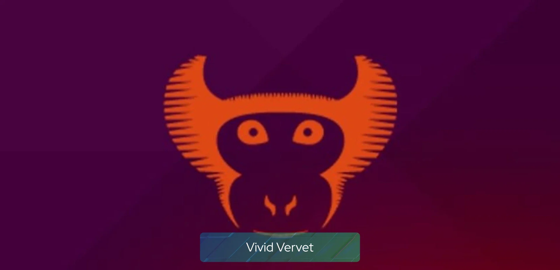 vivid_vervet vivid_vervet