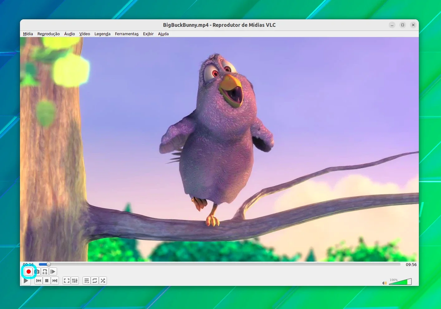 vlc_cortar_videos_04