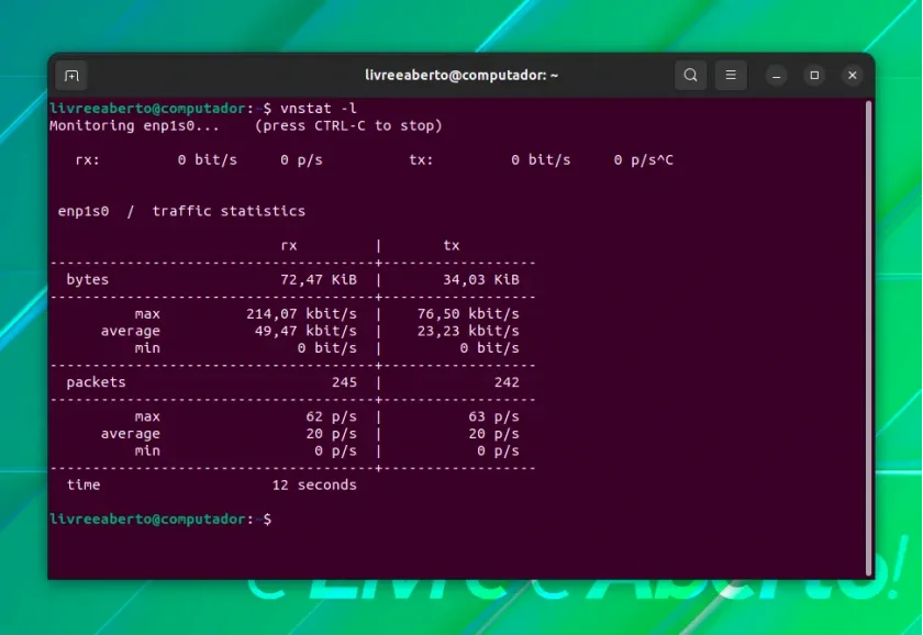 vnstat_2 vnstat_2