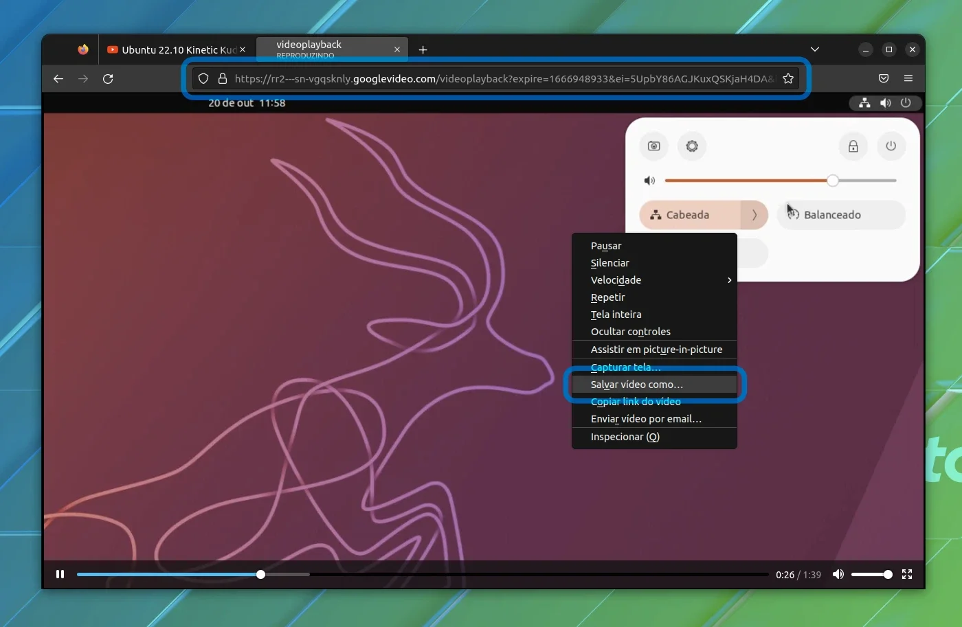 youtube_vlc_firefox youtube_vlc_firefox