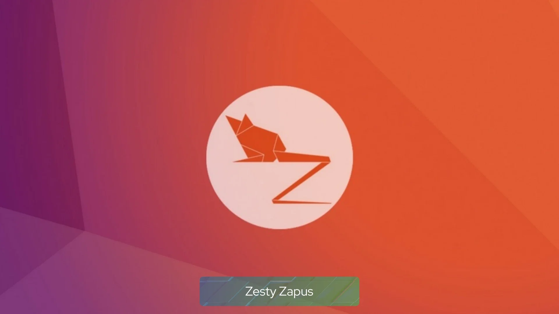 zesty_zapus zesty_zapus