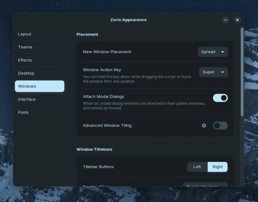 Captura de tela da nova aba "Windows" no aplicativo Zorin Appearance