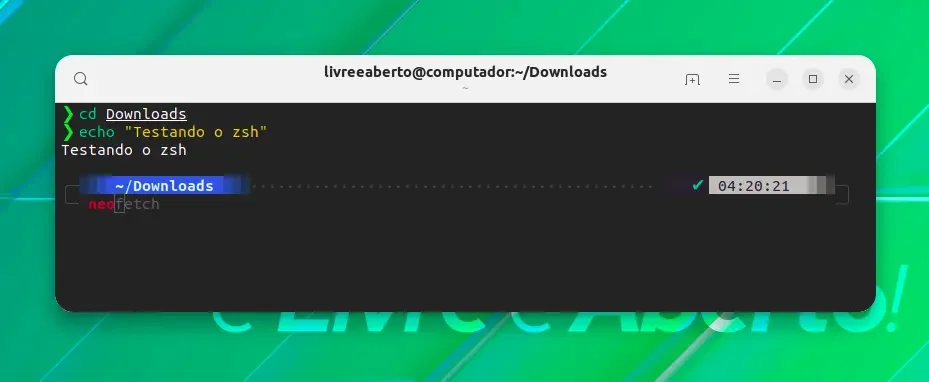 zsh_main zsh_main