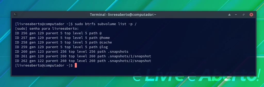 Lista de subvolumes Btrfs no Terminal GNOME