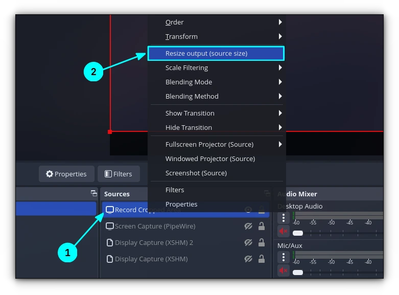 resize-output-source-size