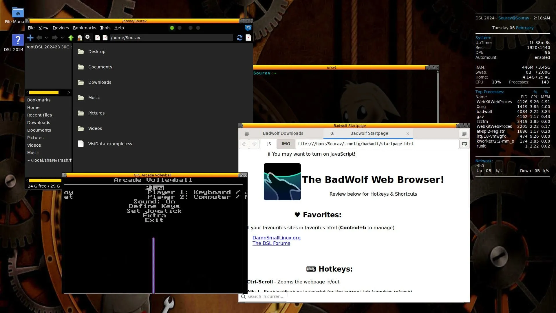 Uma captura de tela do Dman Small Linux 2024 Alpha com alguns aplicativos abertos