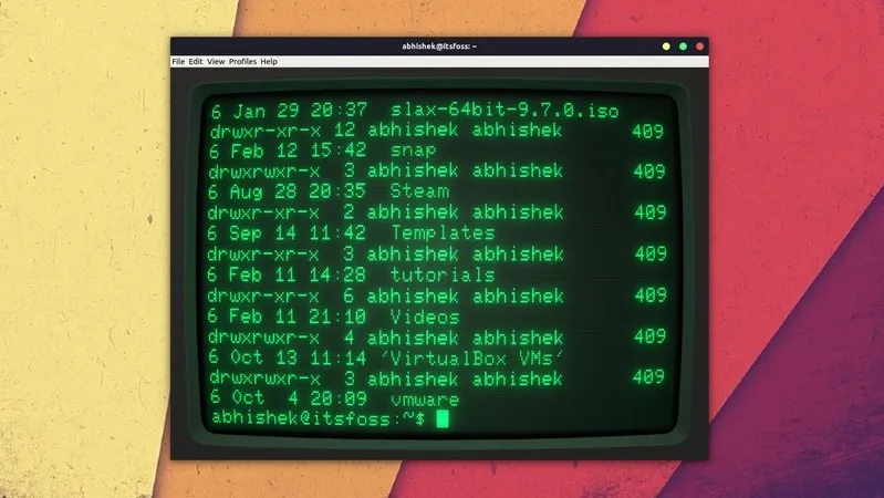 Cool retro termo é um emulador de terminal vintage para Linux