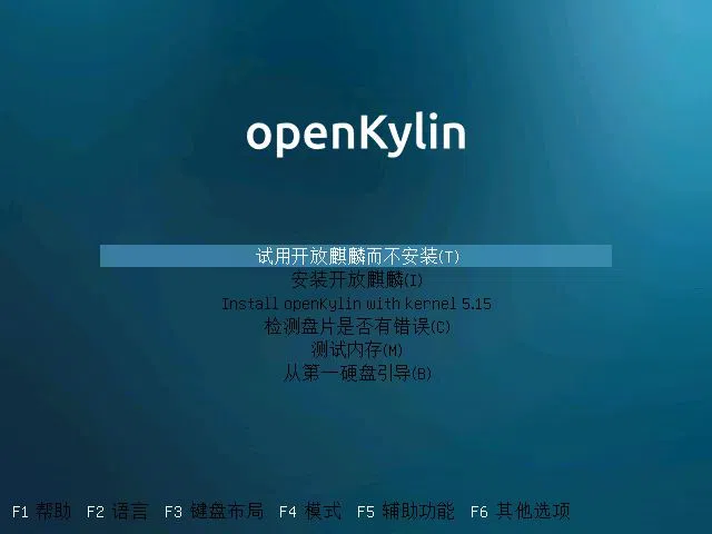 Uma captura de tela da tela de seleção do tipo de instalação do OpenKaylin
