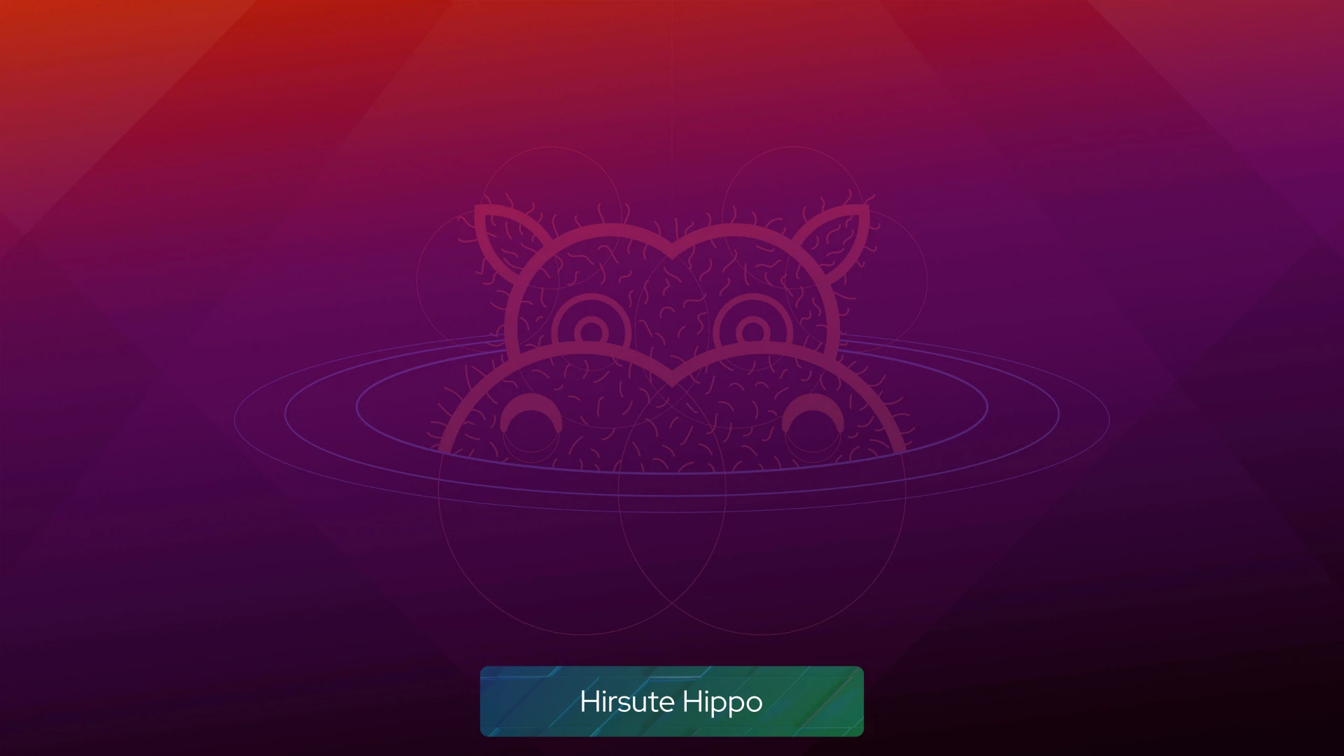 Hirsute_hippo