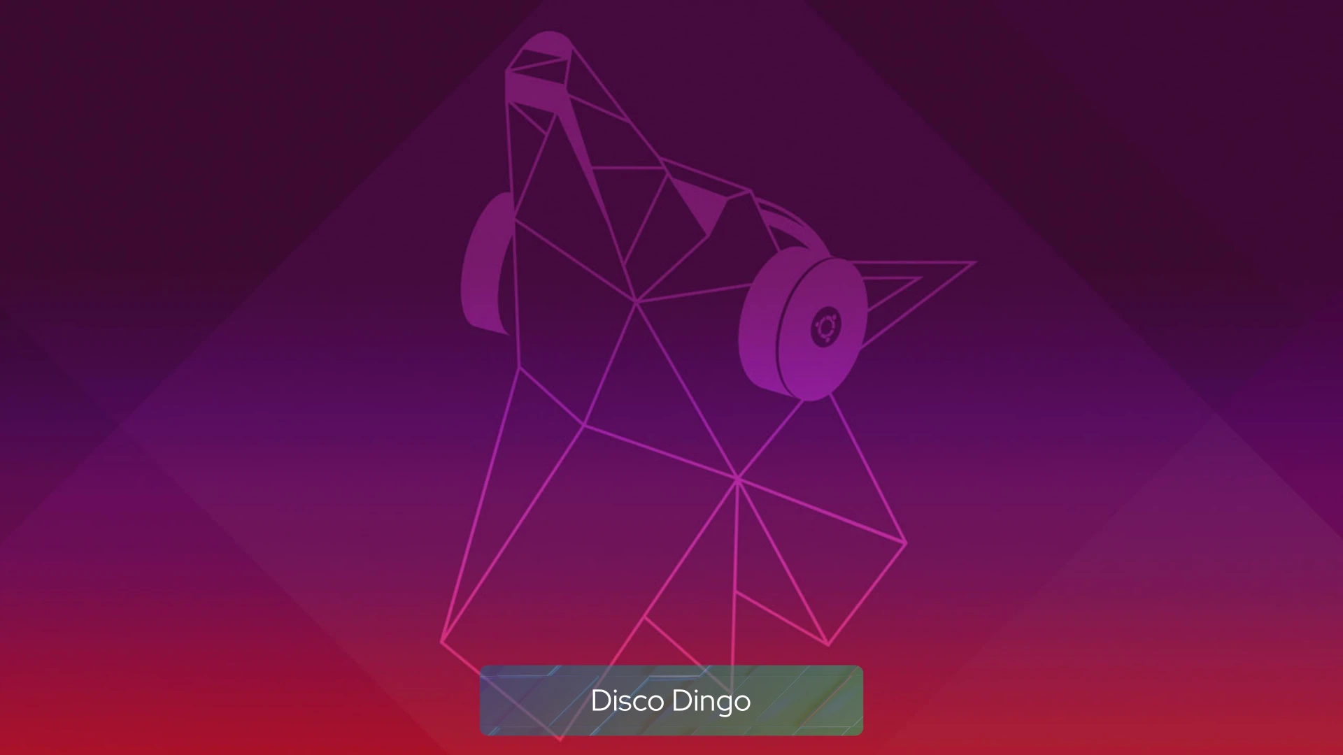 disco_dingo