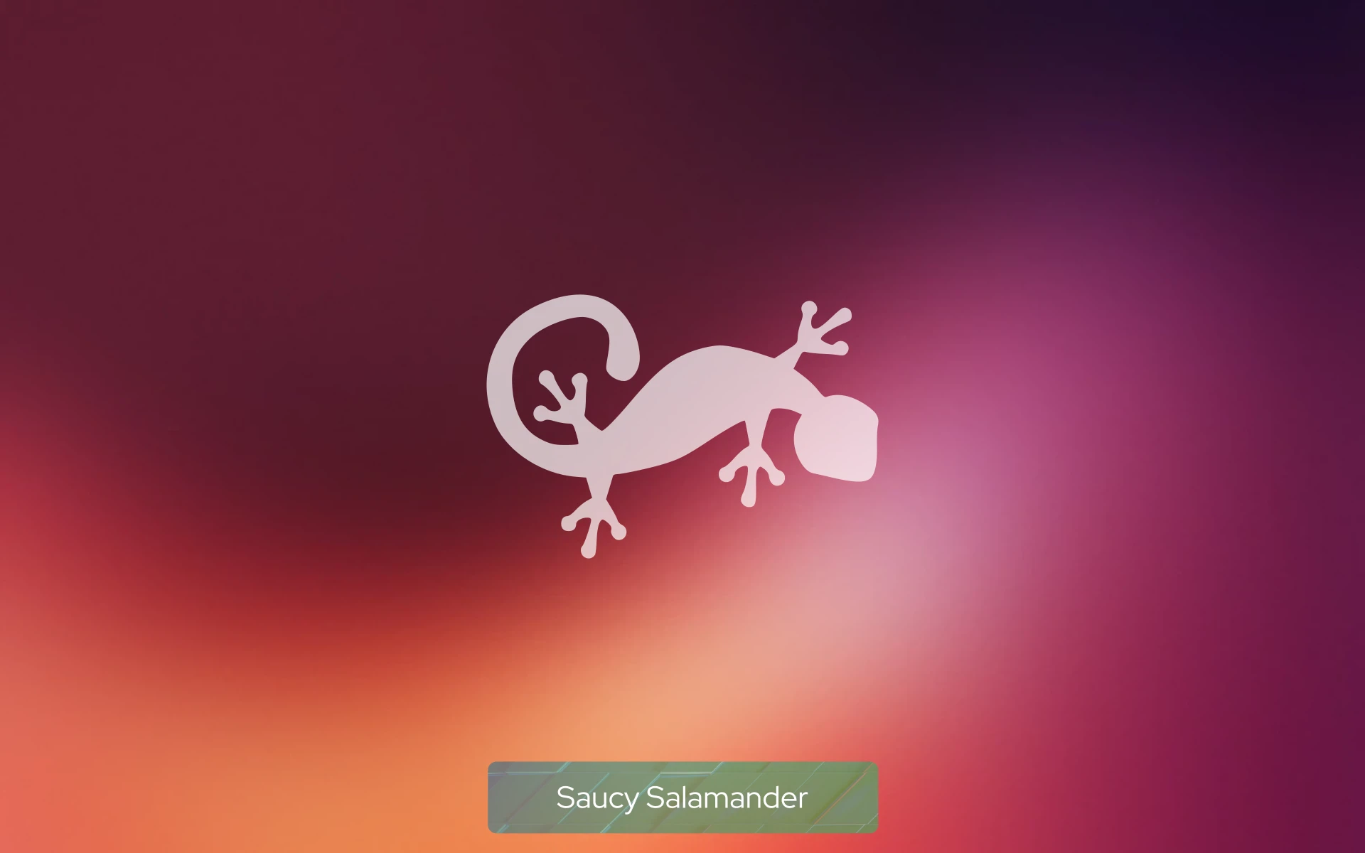 saucy_salamander