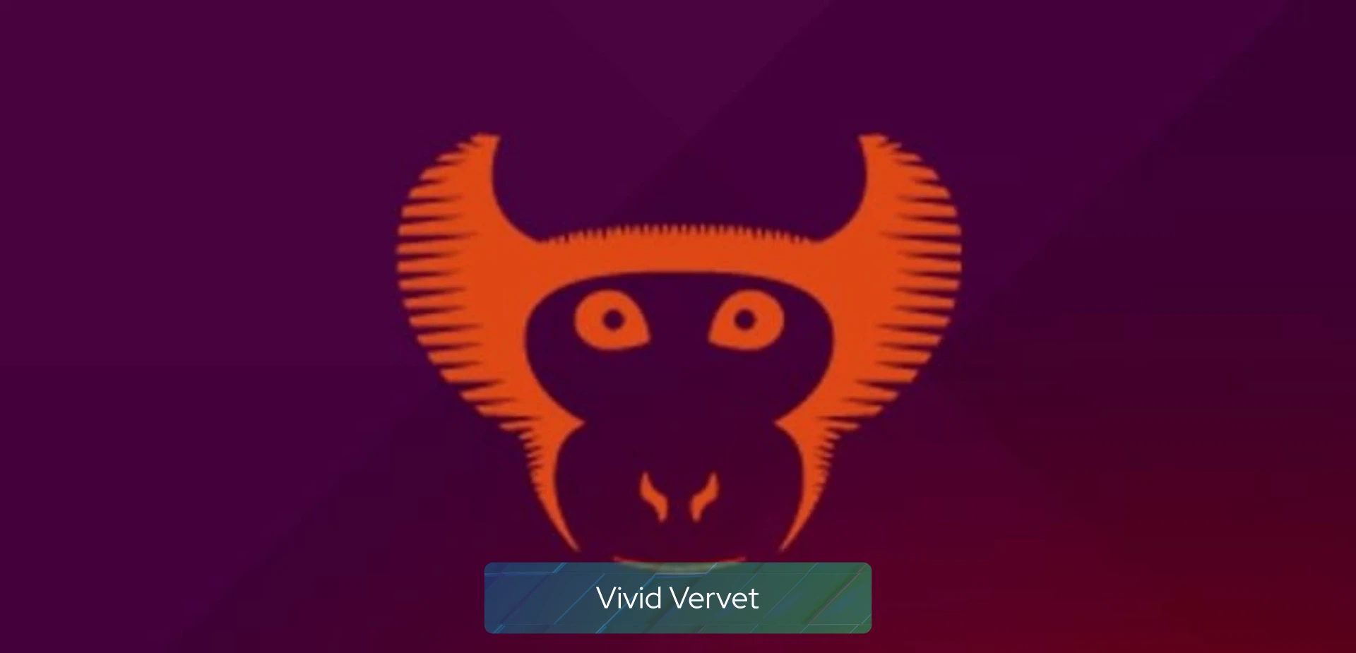 vivid_vervet